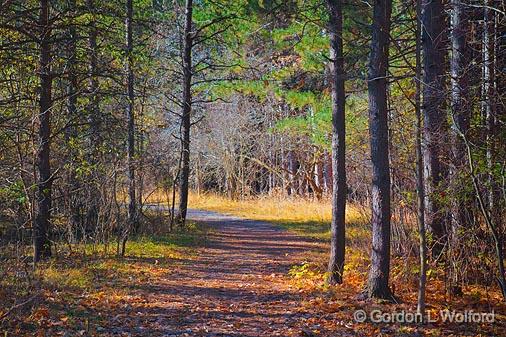 Old Quarry Trail_10096.jpg - Photographed at Ottawa, Ontario - the capital of Canada.